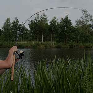 Angling Direct: Die Nr. 1 unter den Angelläden in Europa!.